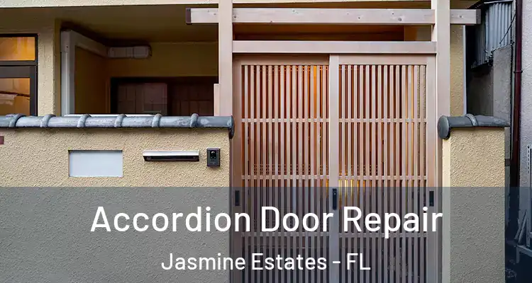  Accordion Door Repair Jasmine Estates - FL