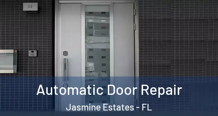  Automatic Door Repair Jasmine Estates - FL