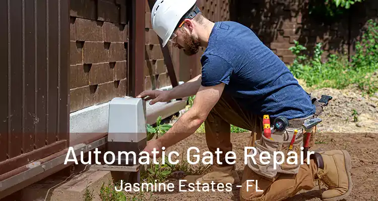  Automatic Gate Repair Jasmine Estates - FL