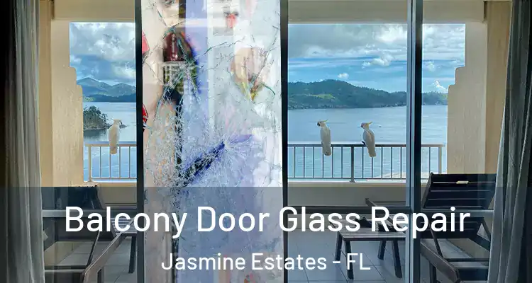  Balcony Door Glass Repair Jasmine Estates - FL