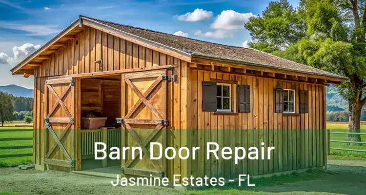  Barn Door Repair Jasmine Estates - FL