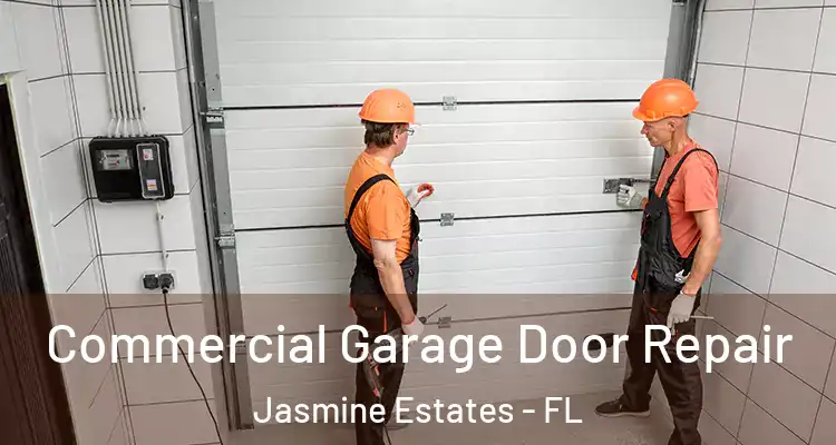  Commercial Garage Door Repair Jasmine Estates - FL