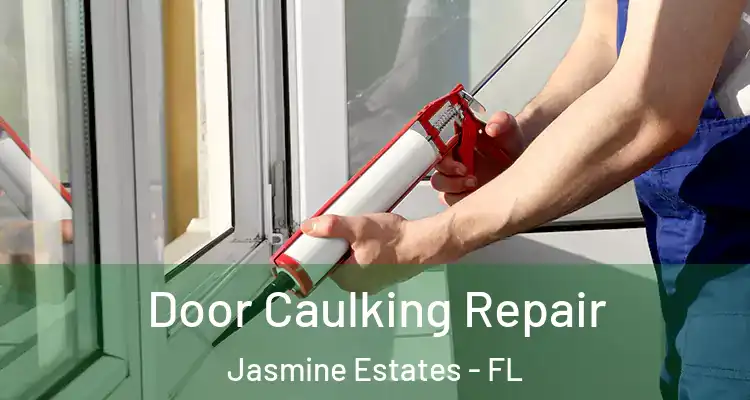  Door Caulking Repair Jasmine Estates - FL