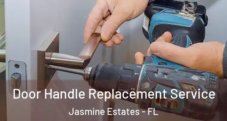  Door Handle Replacement Service Jasmine Estates - FL