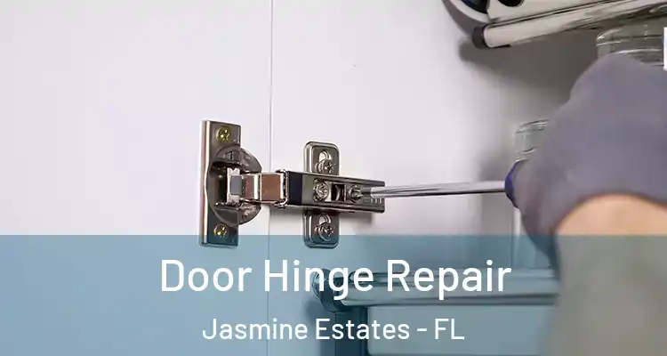  Door Hinge Repair Jasmine Estates - FL