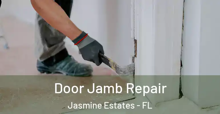  Door Jamb Repair Jasmine Estates - FL