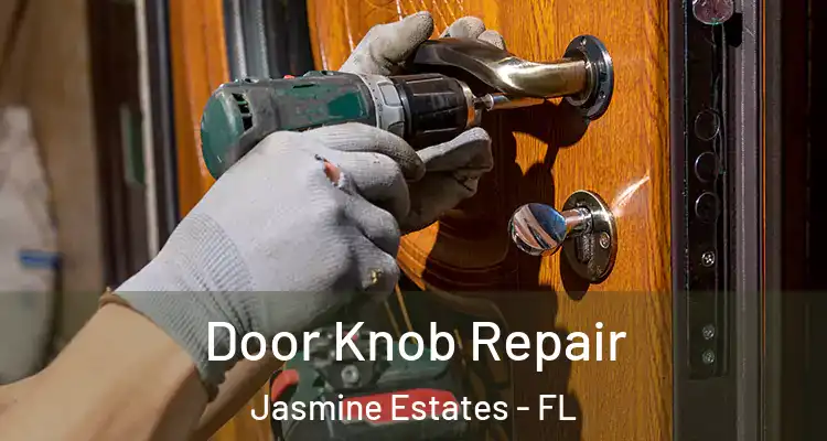  Door Knob Repair Jasmine Estates - FL