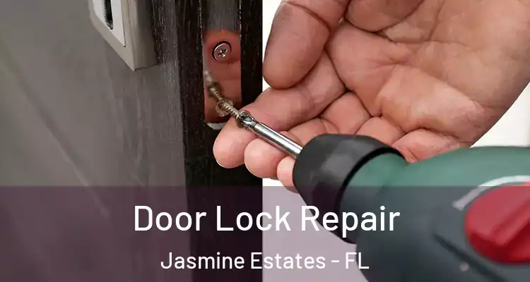  Door Lock Repair Jasmine Estates - FL