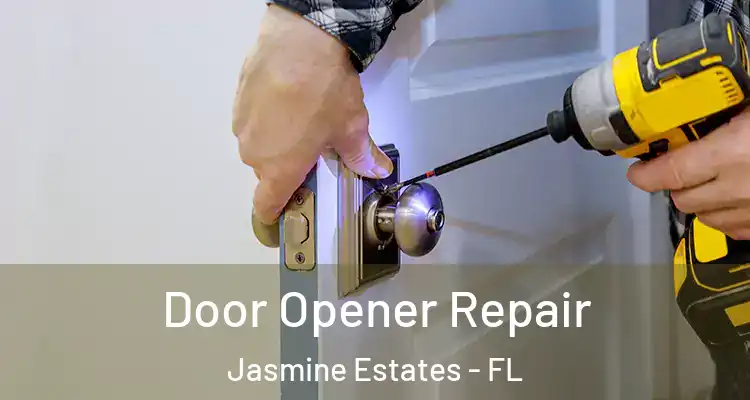  Door Opener Repair Jasmine Estates - FL