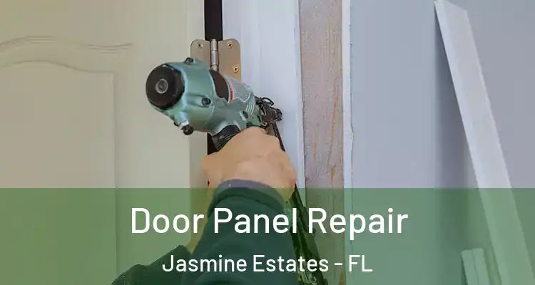  Door Panel Repair Jasmine Estates - FL