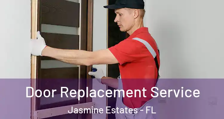  Door Replacement Service Jasmine Estates - FL
