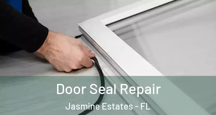  Door Seal Repair Jasmine Estates - FL