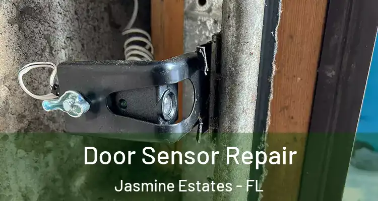  Door Sensor Repair Jasmine Estates - FL