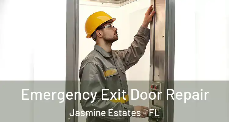  Emergency Exit Door Repair Jasmine Estates - FL