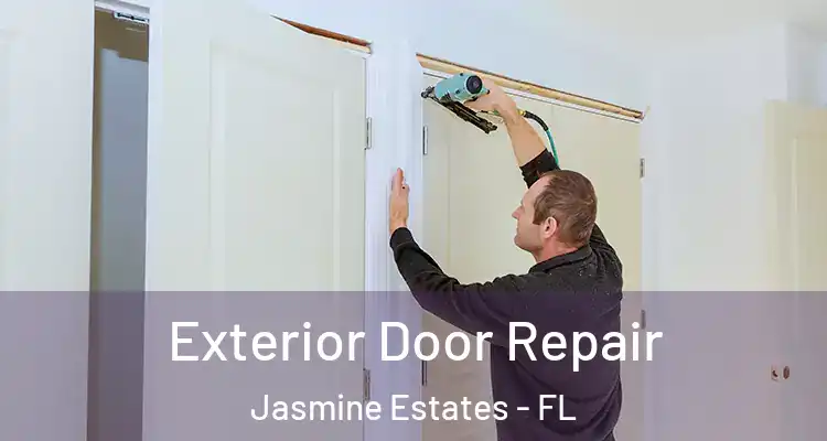  Exterior Door Repair Jasmine Estates - FL