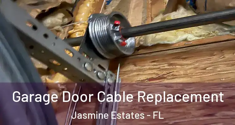  Garage Door Cable Replacement Jasmine Estates - FL