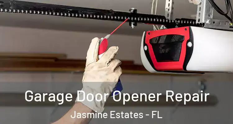  Garage Door Opener Repair Jasmine Estates - FL