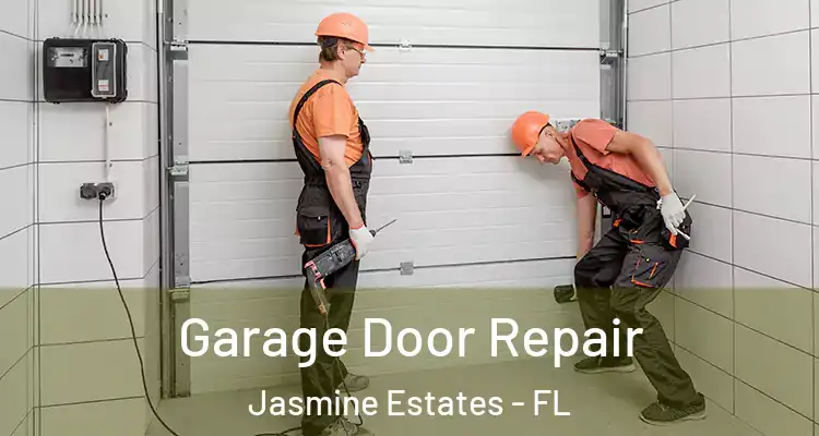  Garage Door Repair Jasmine Estates - FL