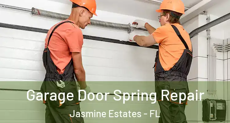  Garage Door Spring Repair Jasmine Estates - FL