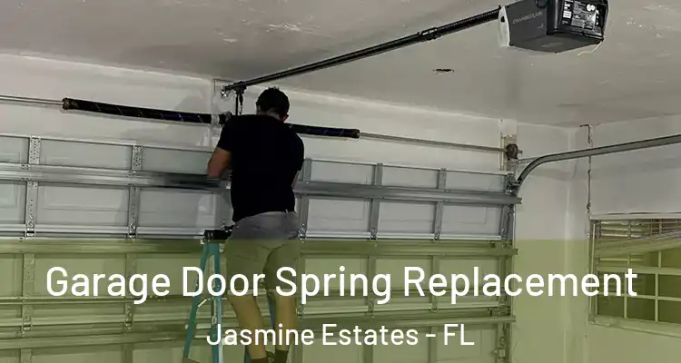  Garage Door Spring Replacement Jasmine Estates - FL