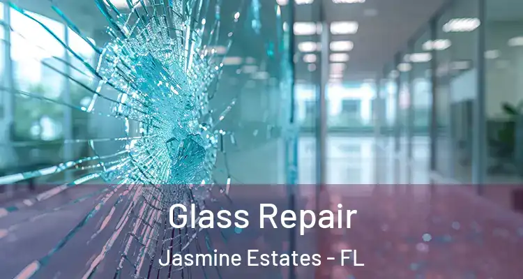  Glass Repair Jasmine Estates - FL