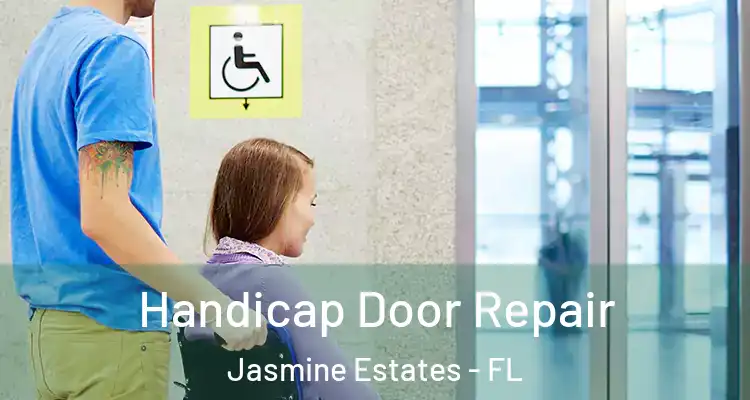  Handicap Door Repair Jasmine Estates - FL