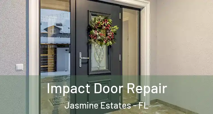  Impact Door Repair Jasmine Estates - FL