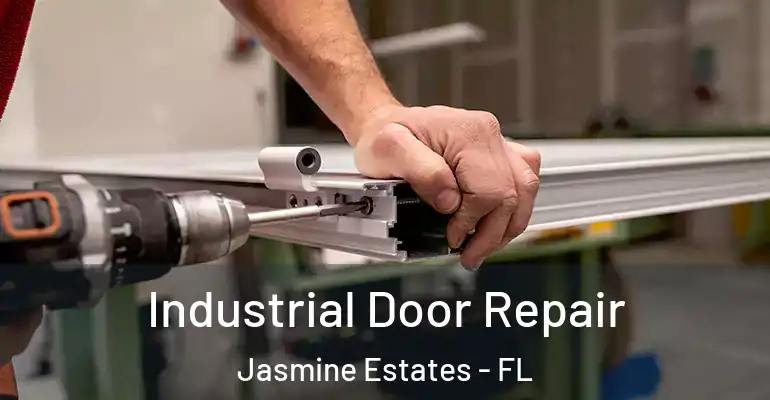 Industrial Door Repair Jasmine Estates - FL