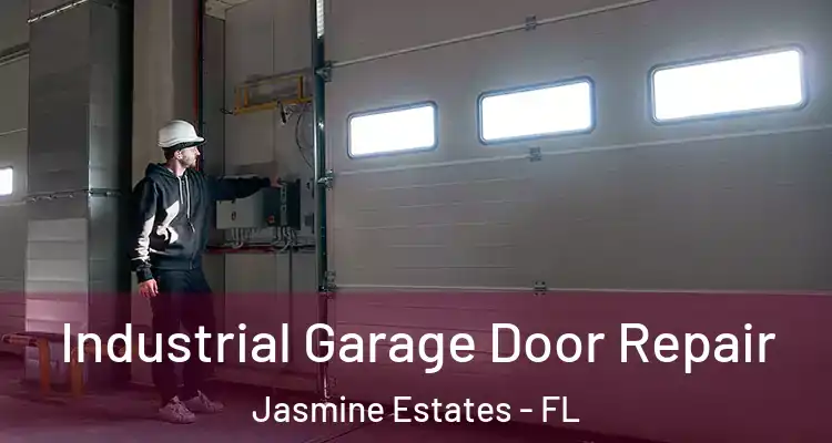  Industrial Garage Door Repair Jasmine Estates - FL