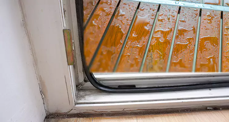 Water Leaking Wooden Patio Doors Repair in Jasmine Estates, FL