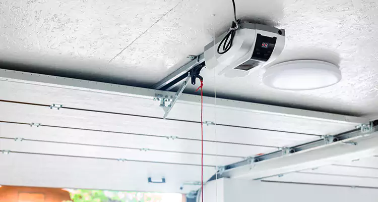 LiftMaster Garage Door Repair in Jasmine Estates, FL