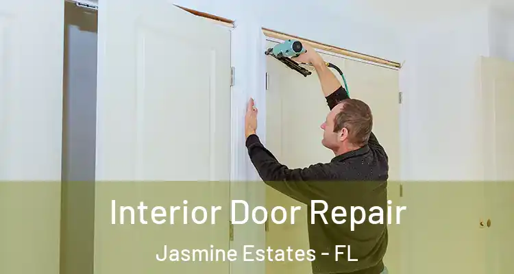  Interior Door Repair Jasmine Estates - FL