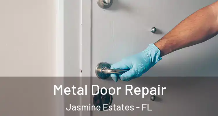  Metal Door Repair Jasmine Estates - FL