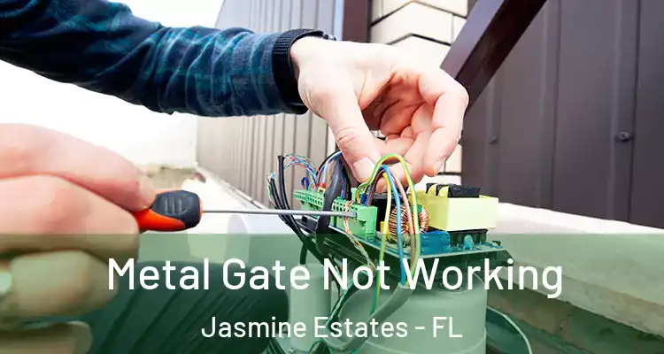  Metal Gate Not Working Jasmine Estates - FL