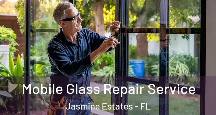  Mobile Glass Repair Service Jasmine Estates - FL