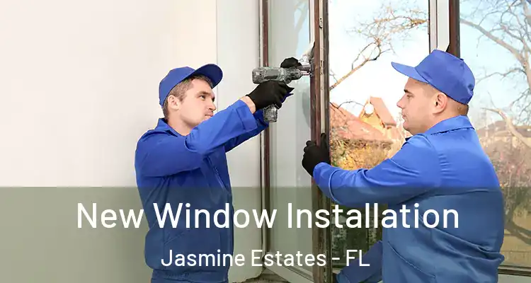  New Window Installation Jasmine Estates - FL