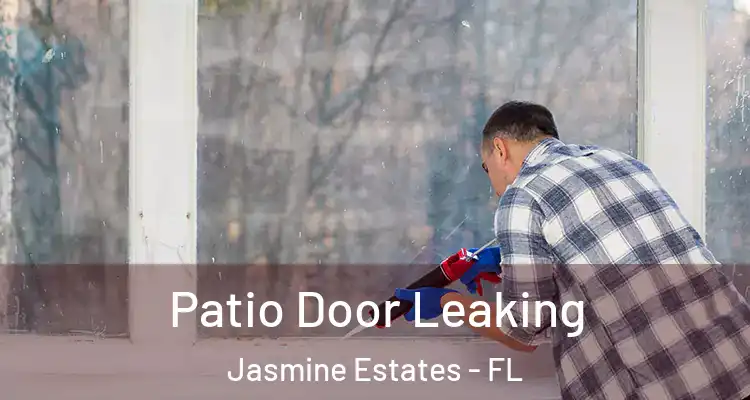  Patio Door Leaking Jasmine Estates - FL