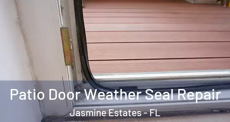  Patio Door Weather Seal Repair Jasmine Estates - FL