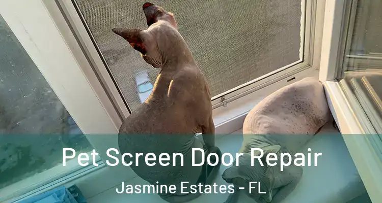  Pet Screen Door Repair Jasmine Estates - FL
