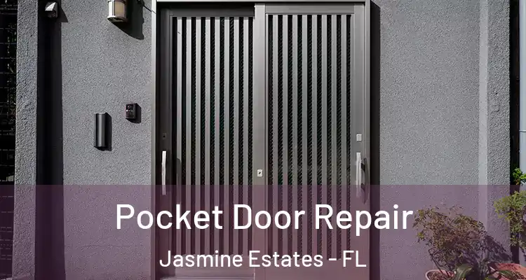  Pocket Door Repair Jasmine Estates - FL