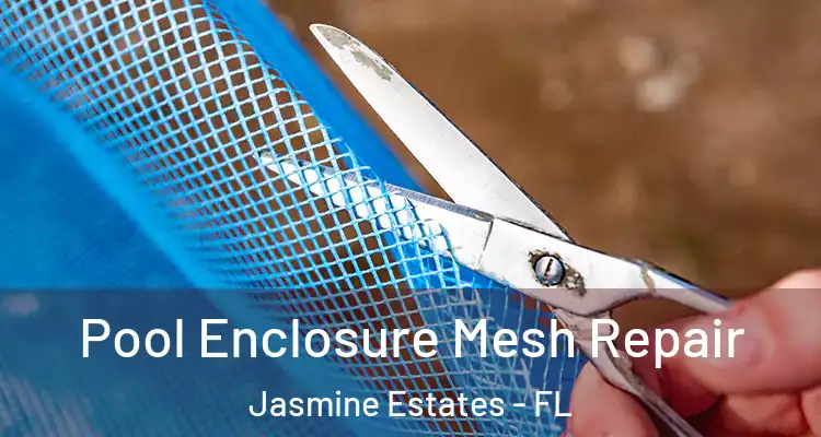  Pool Enclosure Mesh Repair Jasmine Estates - FL
