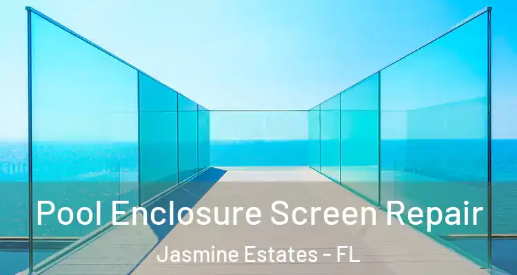  Pool Enclosure Screen Repair Jasmine Estates - FL