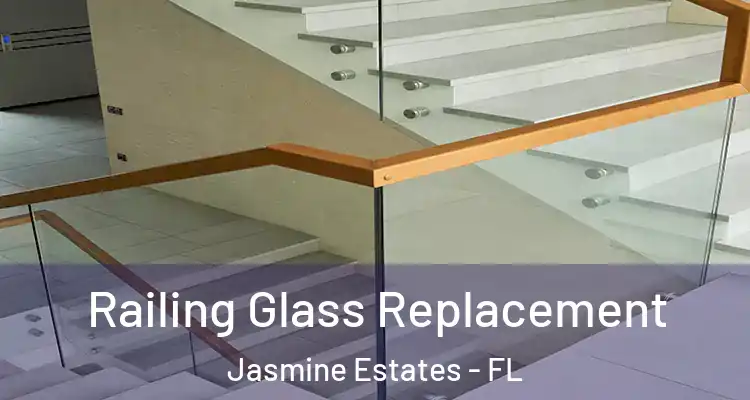  Railing Glass Replacement Jasmine Estates - FL