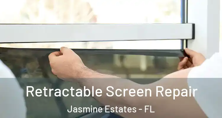  Retractable Screen Repair Jasmine Estates - FL