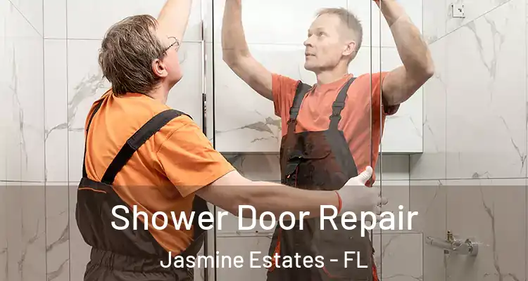  Shower Door Repair Jasmine Estates - FL