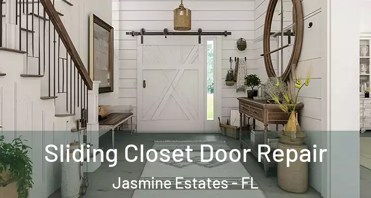  Sliding Closet Door Repair Jasmine Estates - FL