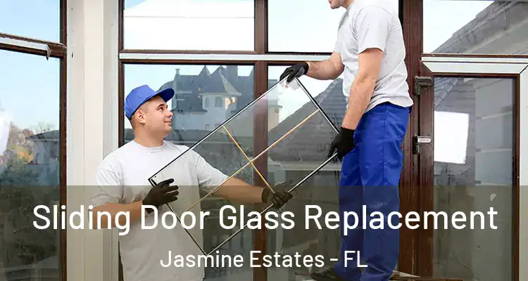  Sliding Door Glass Replacement Jasmine Estates - FL