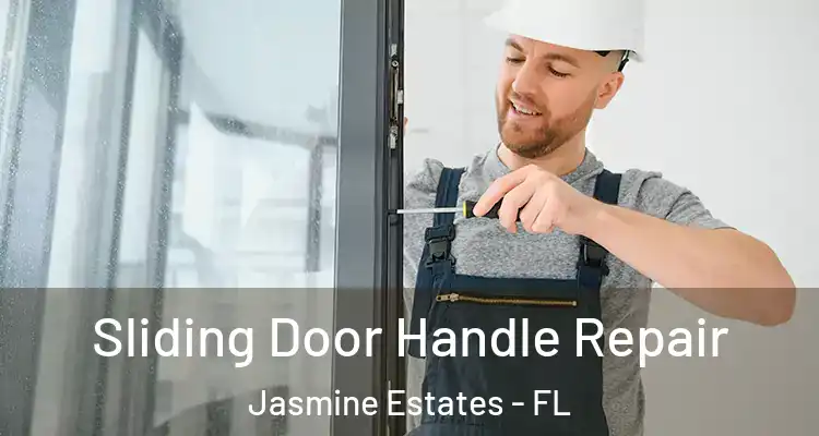  Sliding Door Handle Repair Jasmine Estates - FL
