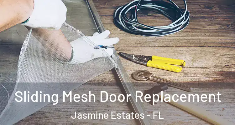  Sliding Mesh Door Replacement Jasmine Estates - FL