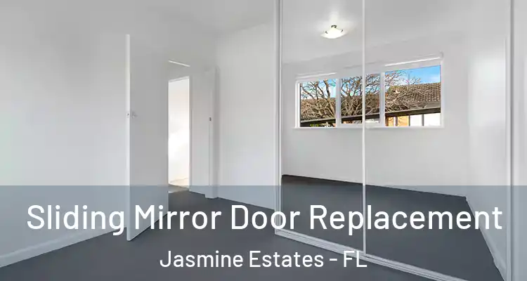  Sliding Mirror Door Replacement Jasmine Estates - FL